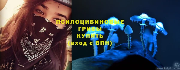 винт Алзамай