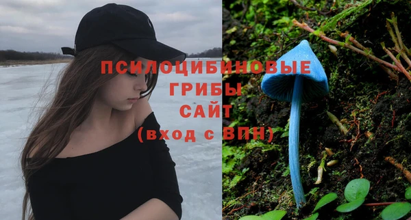 мяу мяу мука Алагир